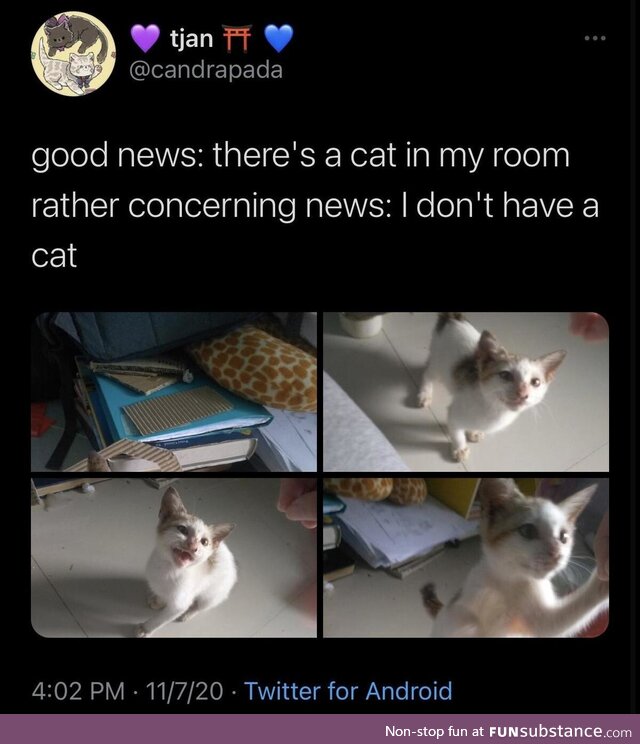 Embarrassed pressed abandoned