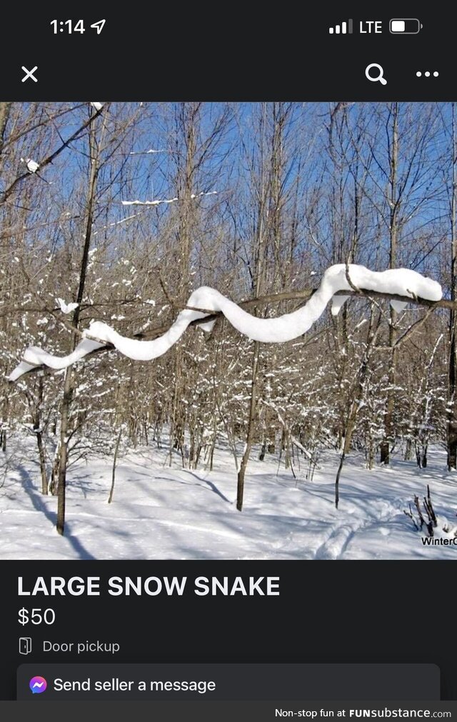 For sale: One large snow snake. Comes with free food!