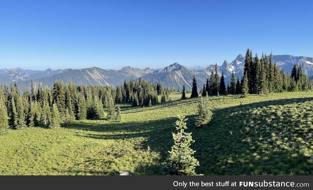 Mount rainier national park, 8/2/23