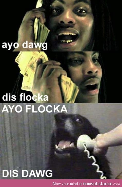 Flocka