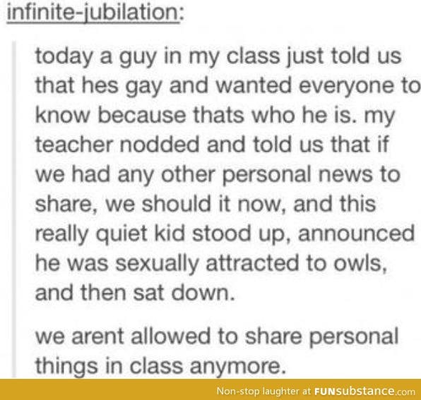 Owls