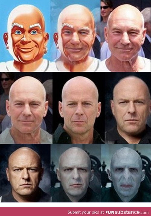 Evolution of bald