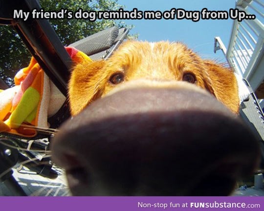 Real life dug