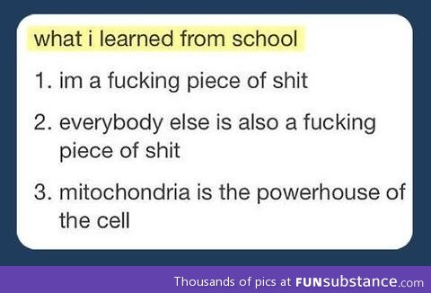 What I learned from school