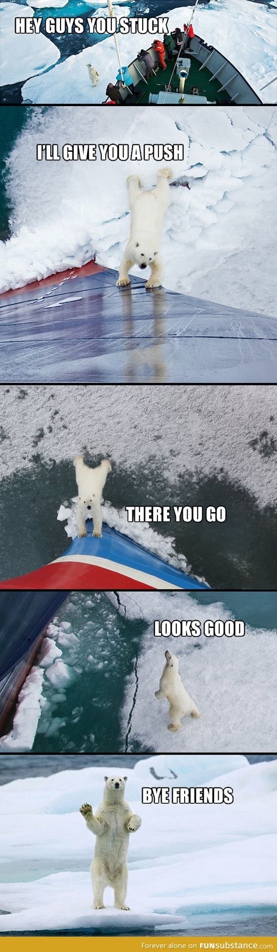 Good guy polar bear