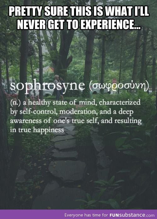 The meaning of sophrosyne