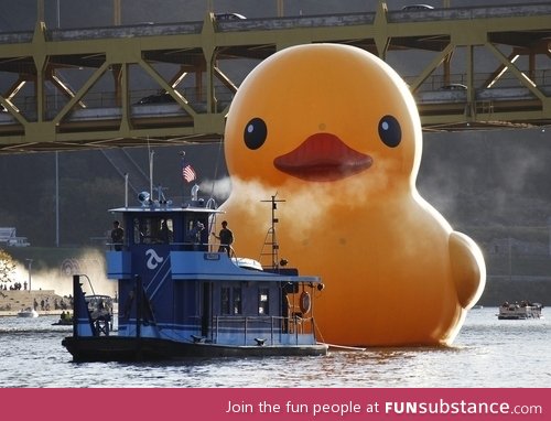 Release the quacken