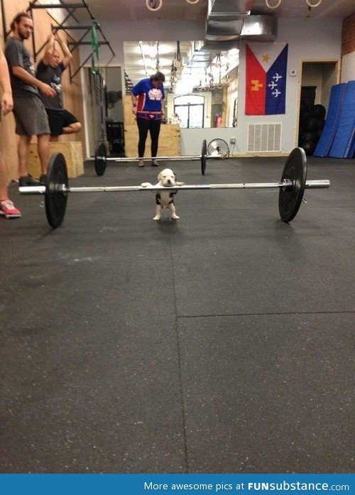 Bro, do you even lift?