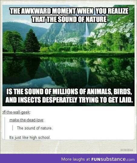 Ahhh nature