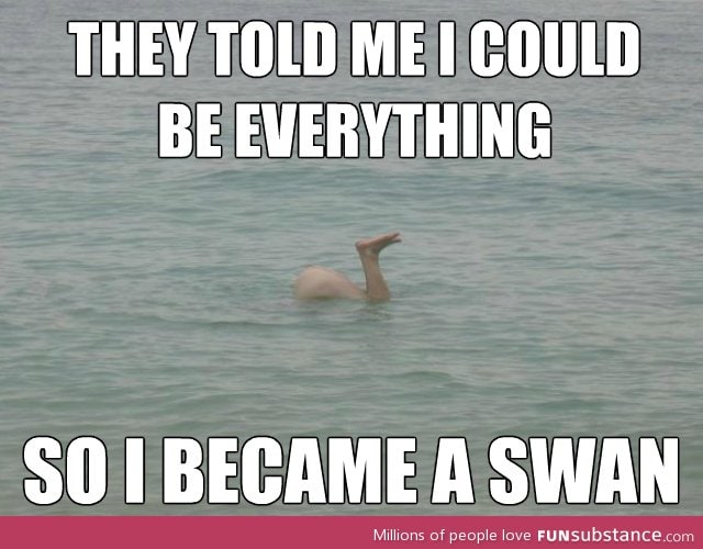 A swan