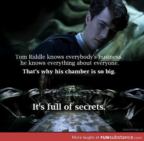 Get it...the Chamber...of SECRETS?