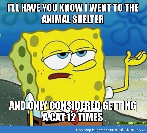 Animal Shelter