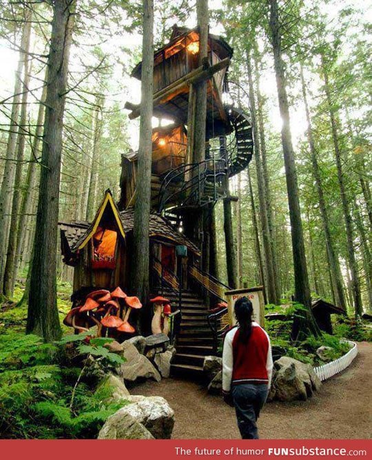 Multi-layered tree house