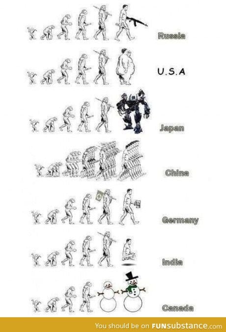 Human evolution