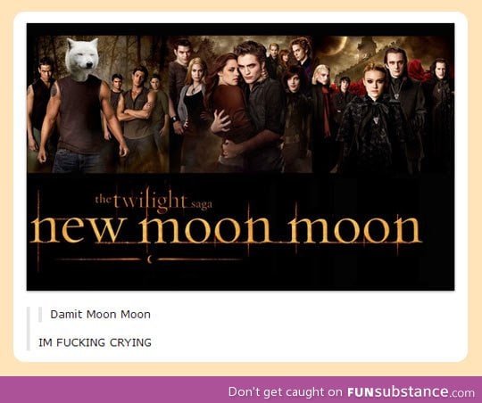 New moon moon