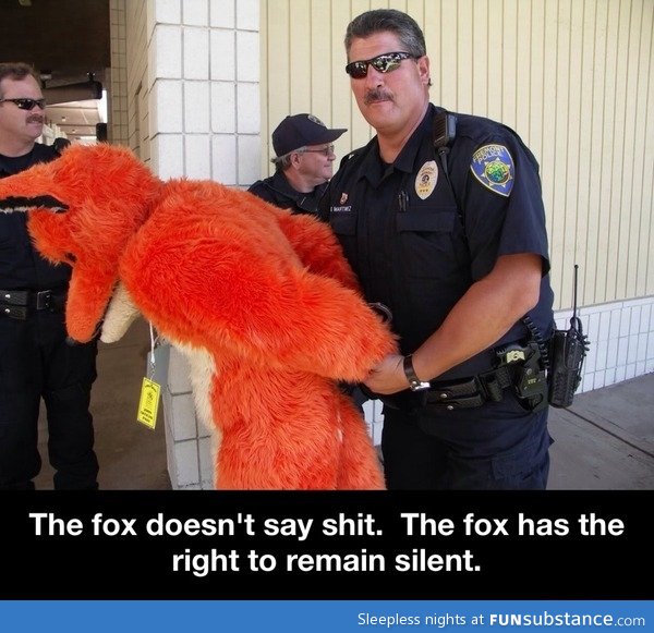 What the fox says