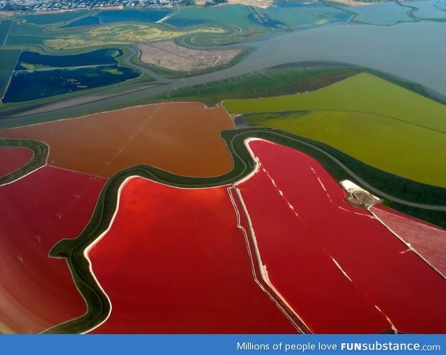 Multi colored salt ponds in san francisco