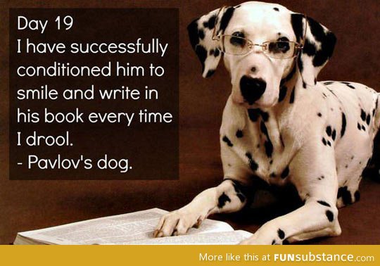 Pavlov's dog