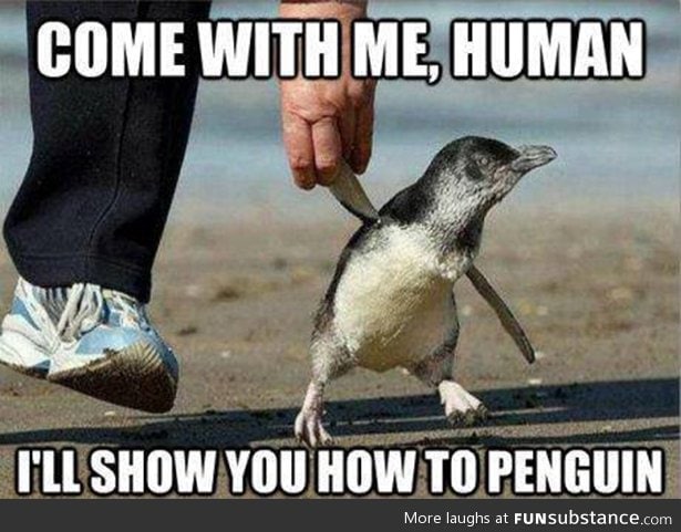 pinguins