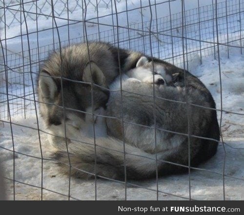 Mom and baby during winter