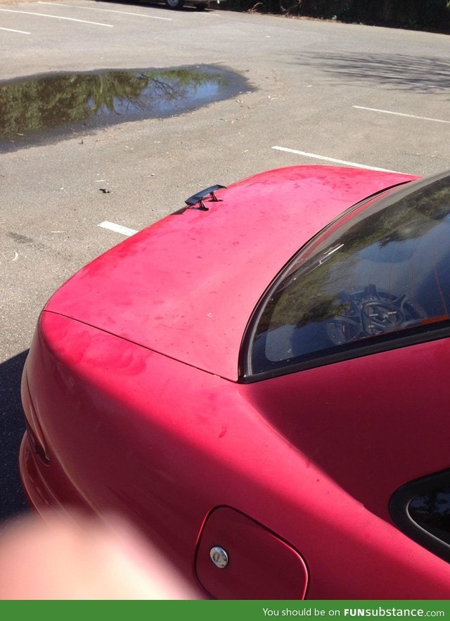 I got a new spoiler on my car
