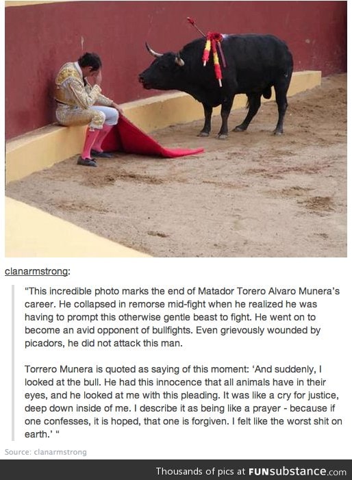 Bullfighting