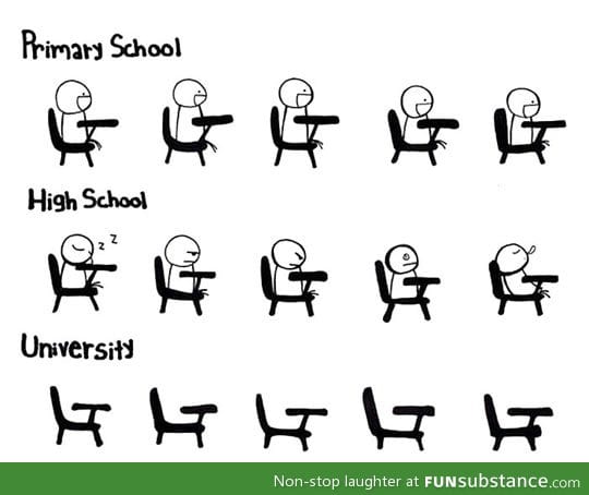 Primary school vs. High school vs. University…