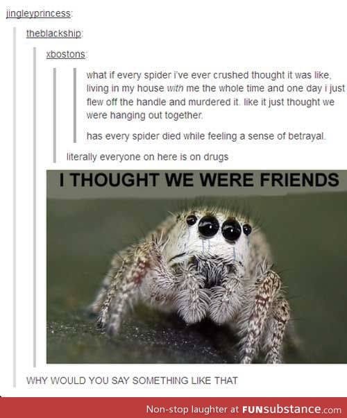 Spider friends