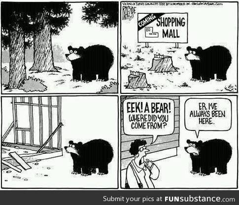 Dont argue with a bear!