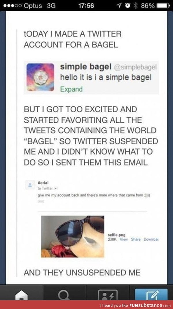 Bagel