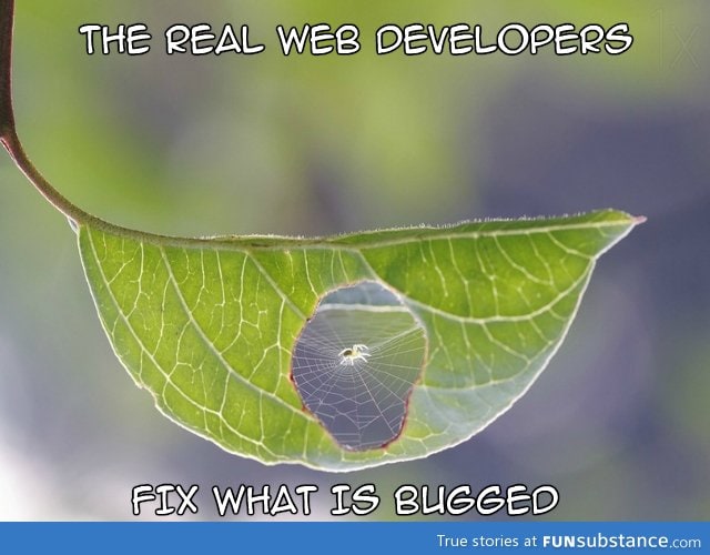 The real web developers