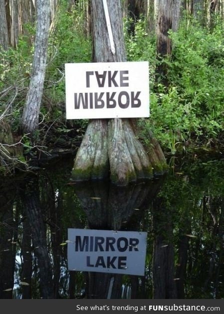 Mirror lake