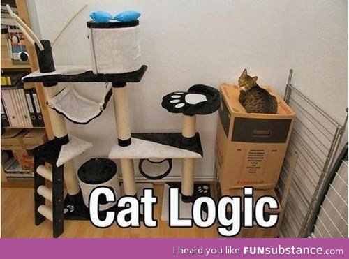 Cat logic