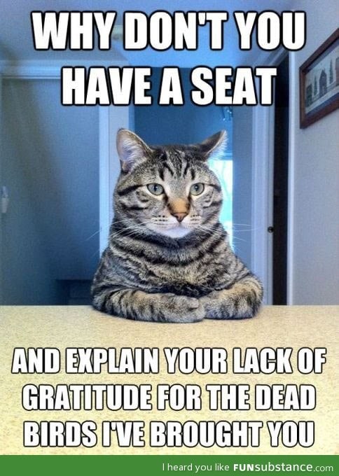 No gratitude