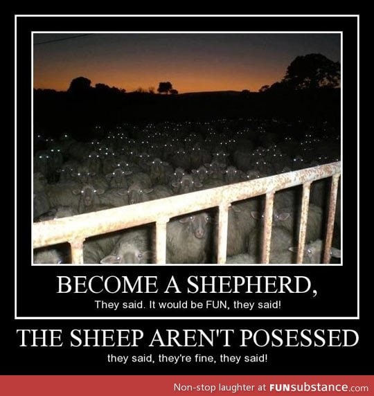 Become a shepherd