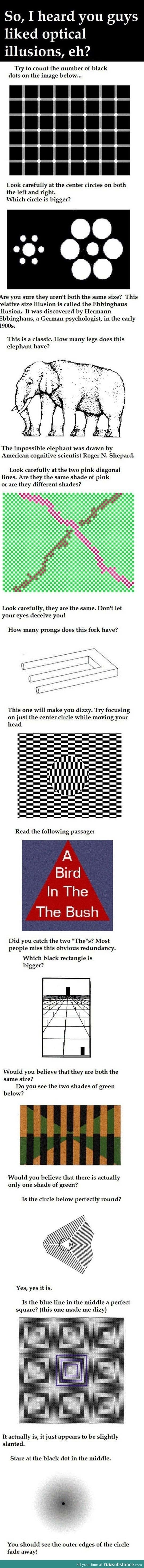 I heard you liked optical illusions