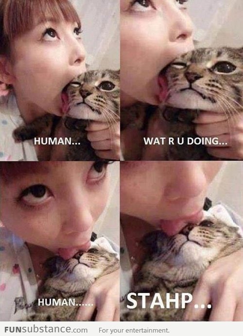 Human what is wrong with you?