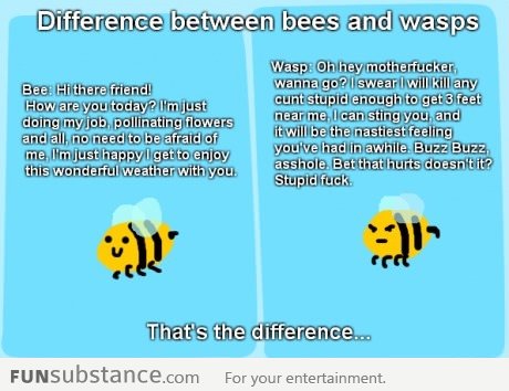 The Difference between a bees and wasps