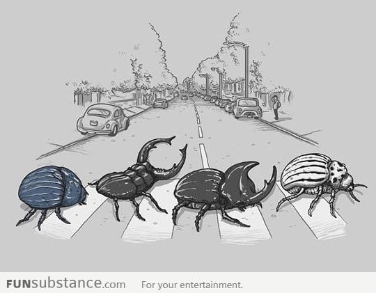 The Beetles