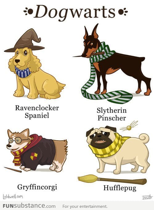 Dogwarts