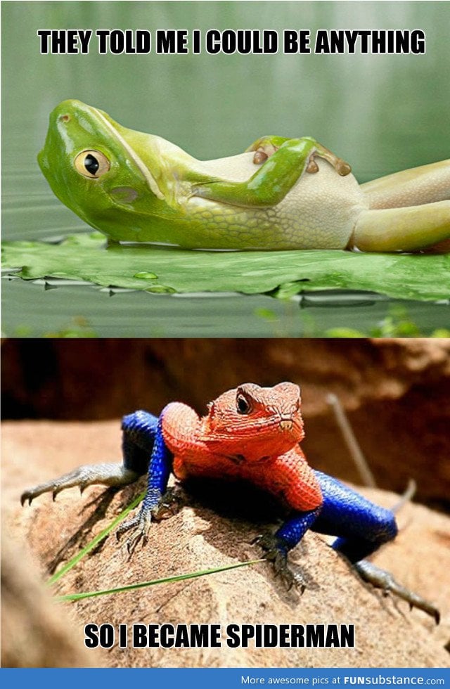 Spiderfrog