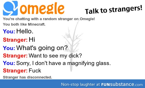 Omegle in a nutshell