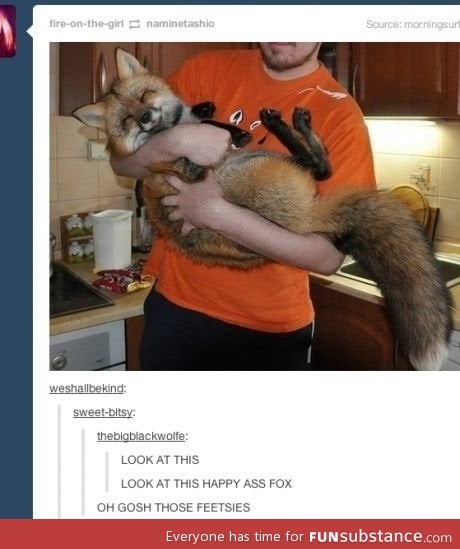 Happy fox