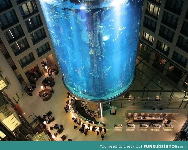 Epic fish tank