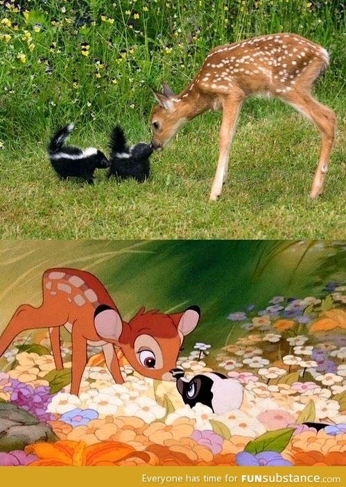 Disney in real life