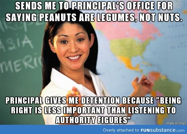 scumbag education system