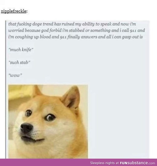 Doge: messing up grammar since 2013