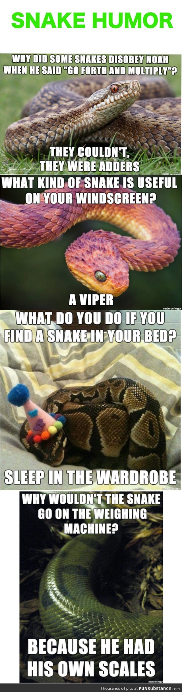 Snake humor