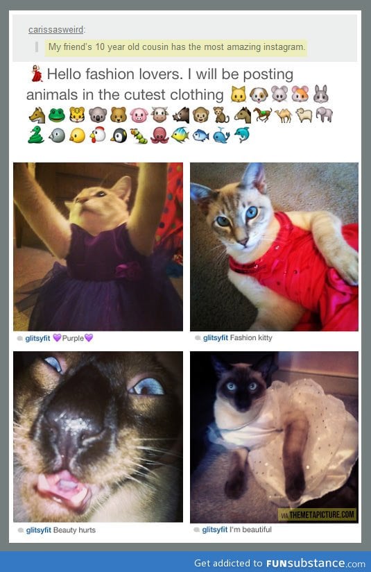 The most amazing instagram account