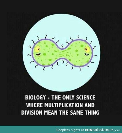 Multiplication and division in biology